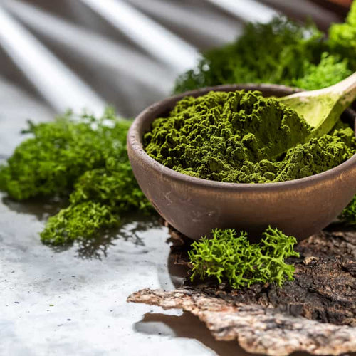 Chlorella
